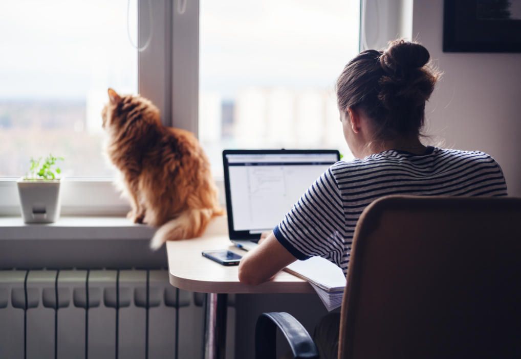 Entspannt ins Homeoffice durch VPN